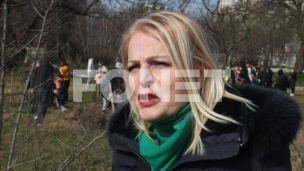 Normalizacija nasilja